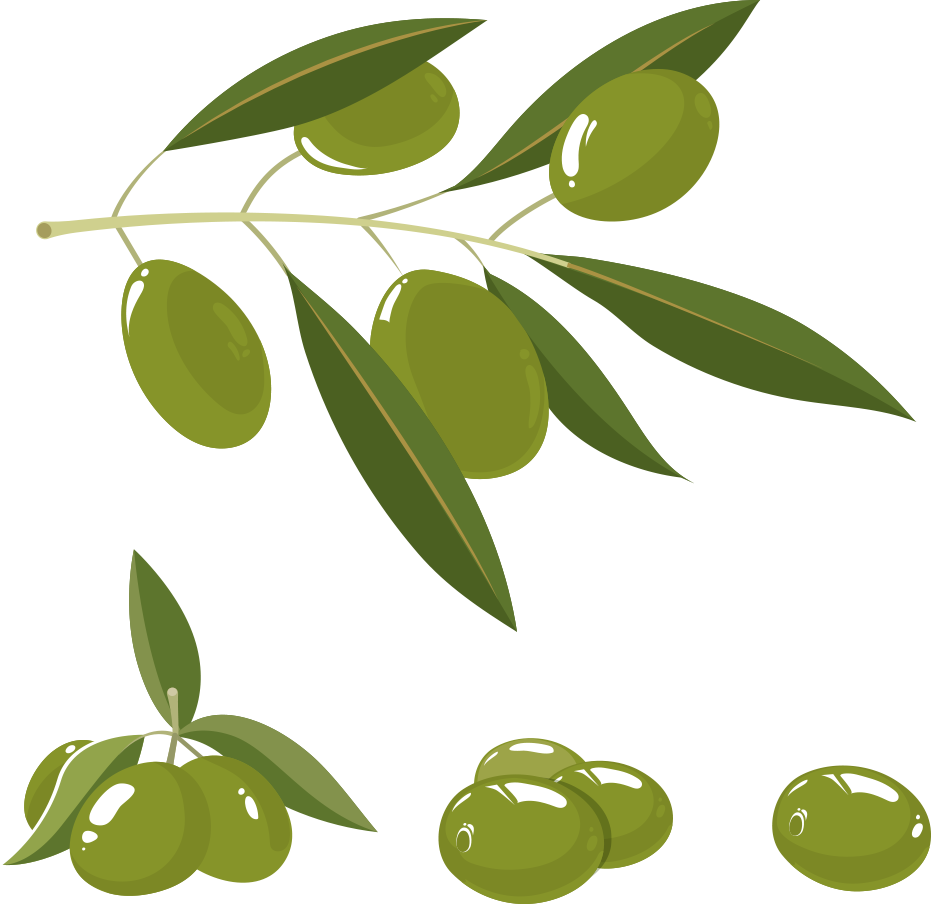 Olive Oil Olive Branch - Olive (931x904)