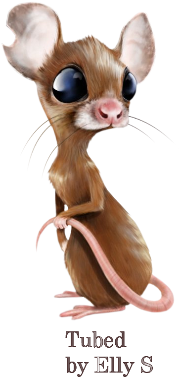 Alles Voor En Over Psp - Mouse (640x874)