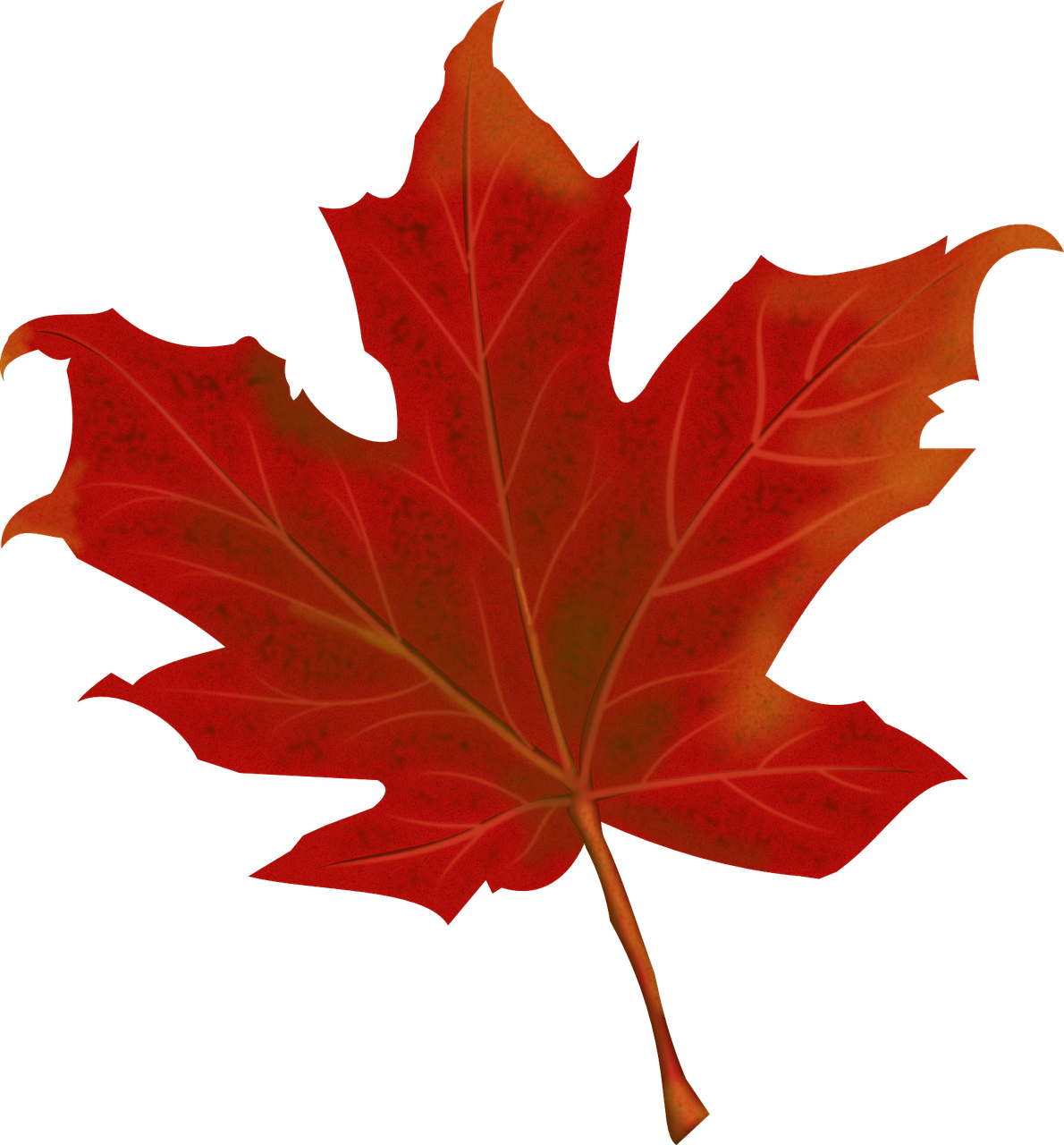 Maple Leaf Canada - Maple Leaf Canada (1190x1280)