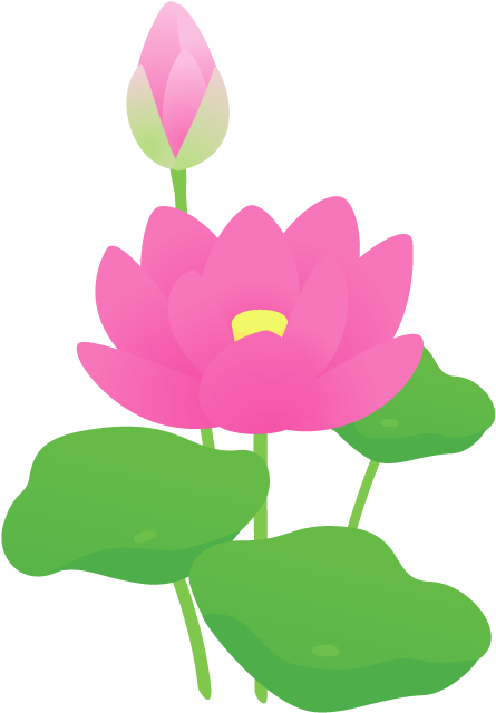 ハス - 蓮 の 花 イラスト 無料 (490x700)