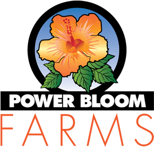 Logo (394x343)