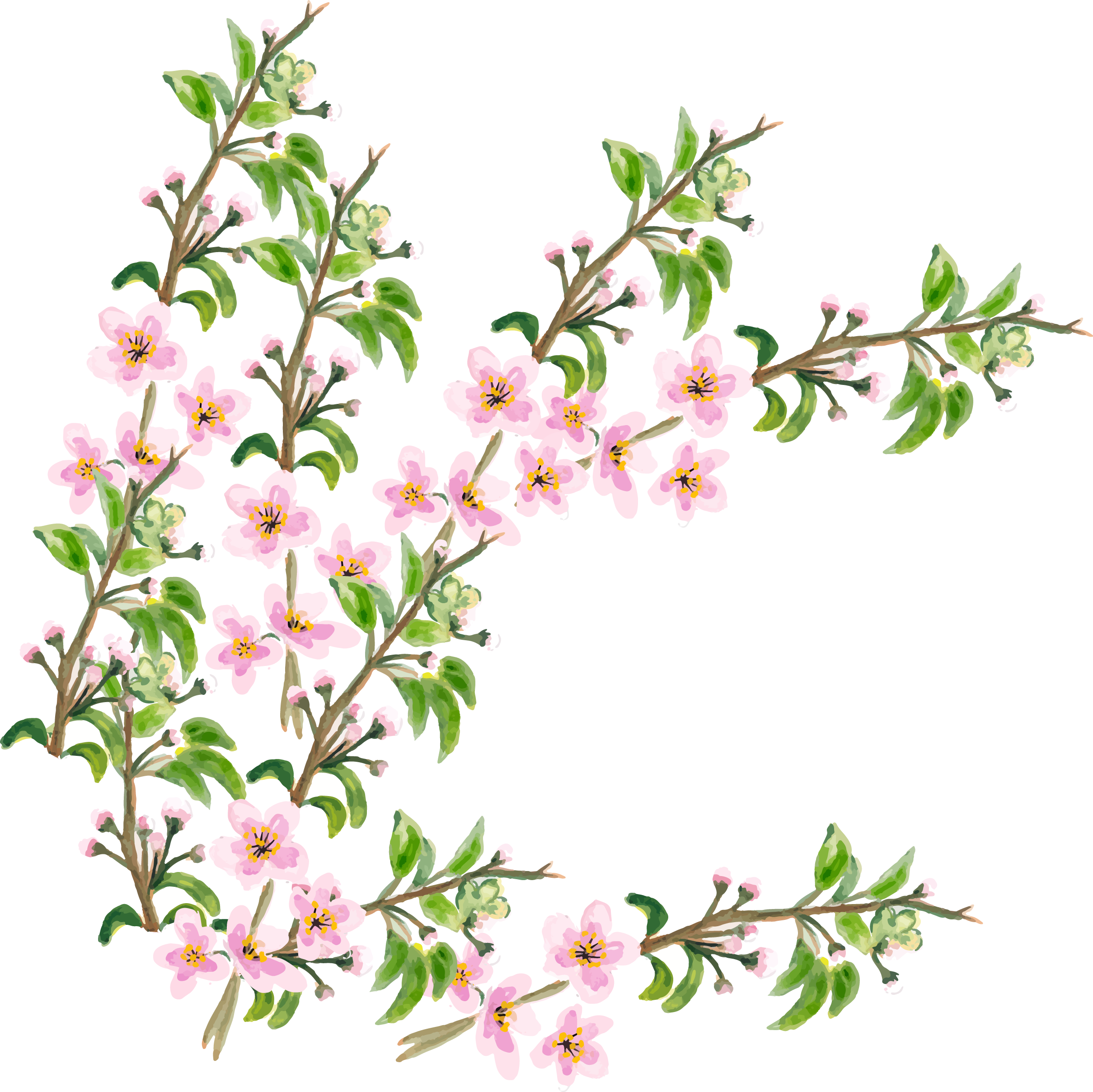 Flower Cherry Blossom - Flower (2419x2417)