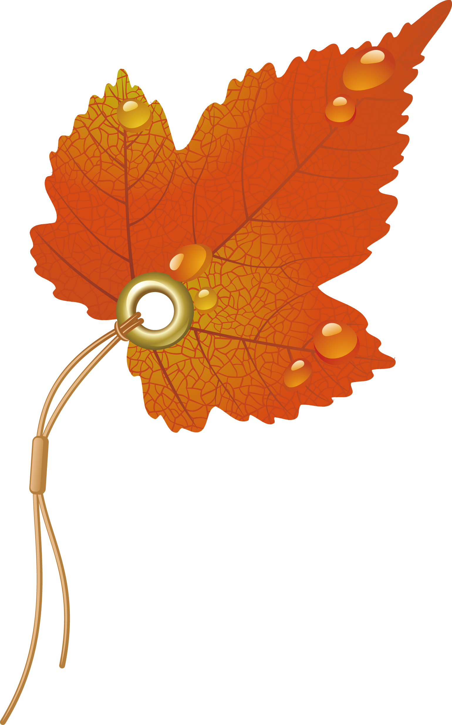 Maple Leaf Clipart Watermelon - Autumn Leaves Vector (1540x2467)