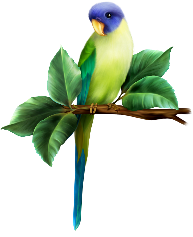 Tropical - Clip Art (765x940)