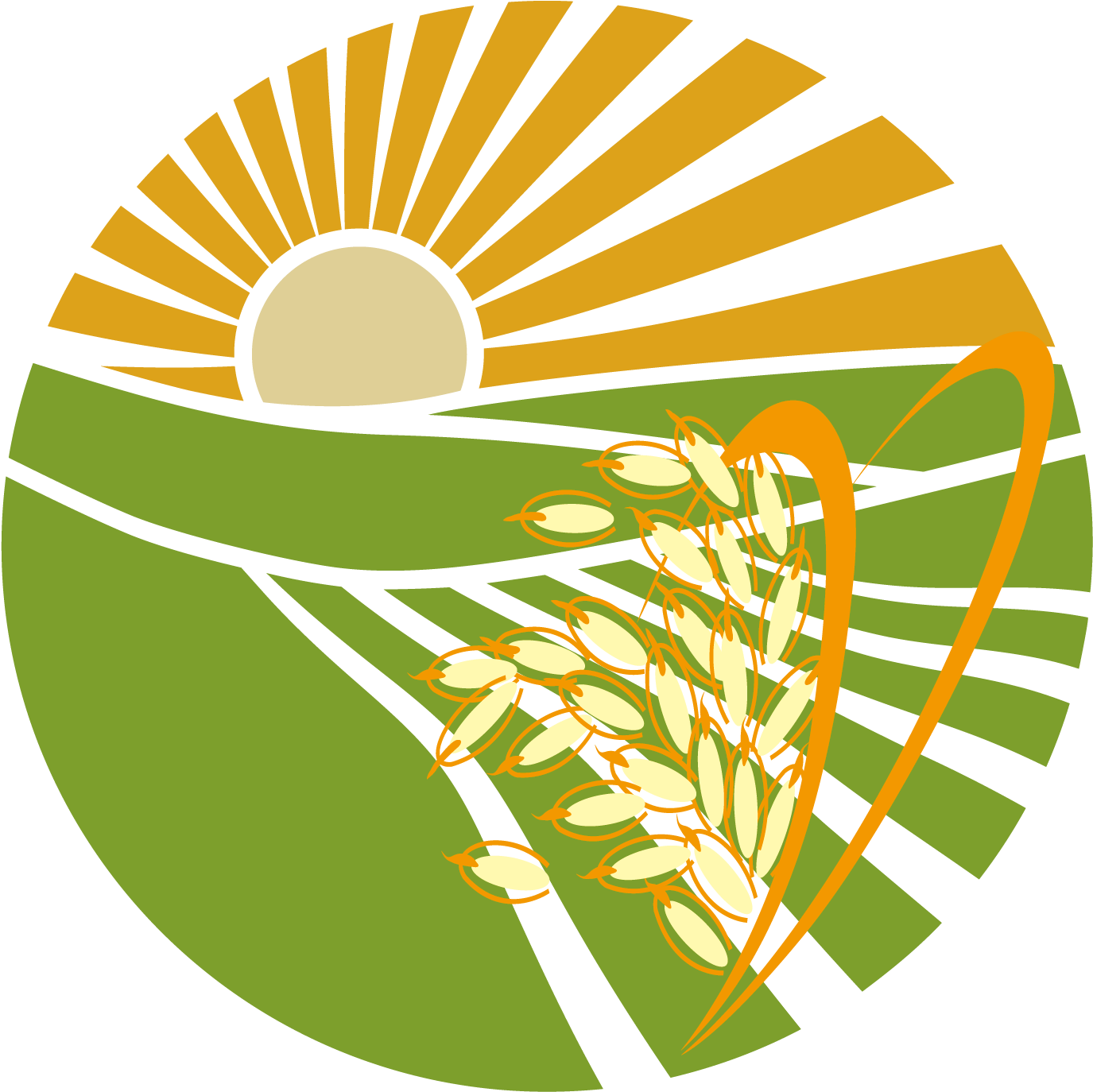Rice Euclidean Vector Illustration - Illustration (1676x1590)