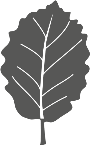 Sour Cherry Line Leaf Transparent Png - Cherry (512x512)