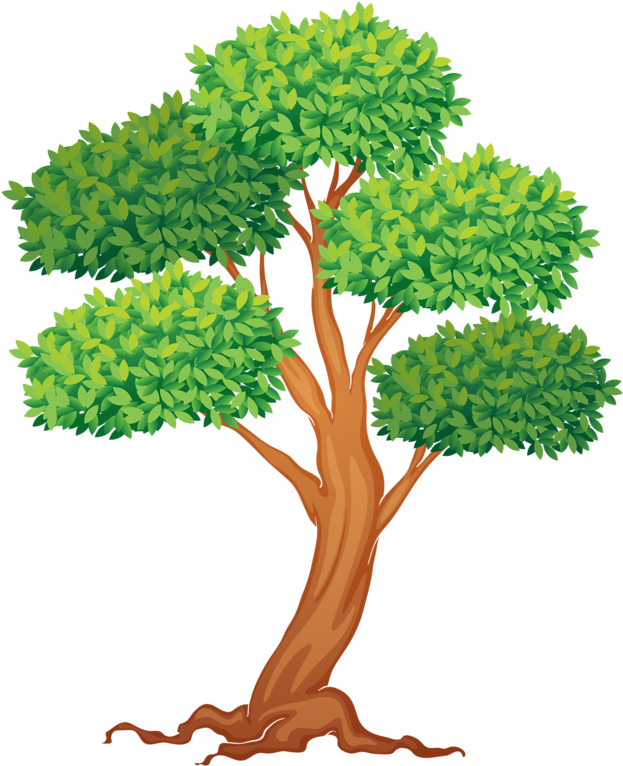 Trees Clipart (654x800)