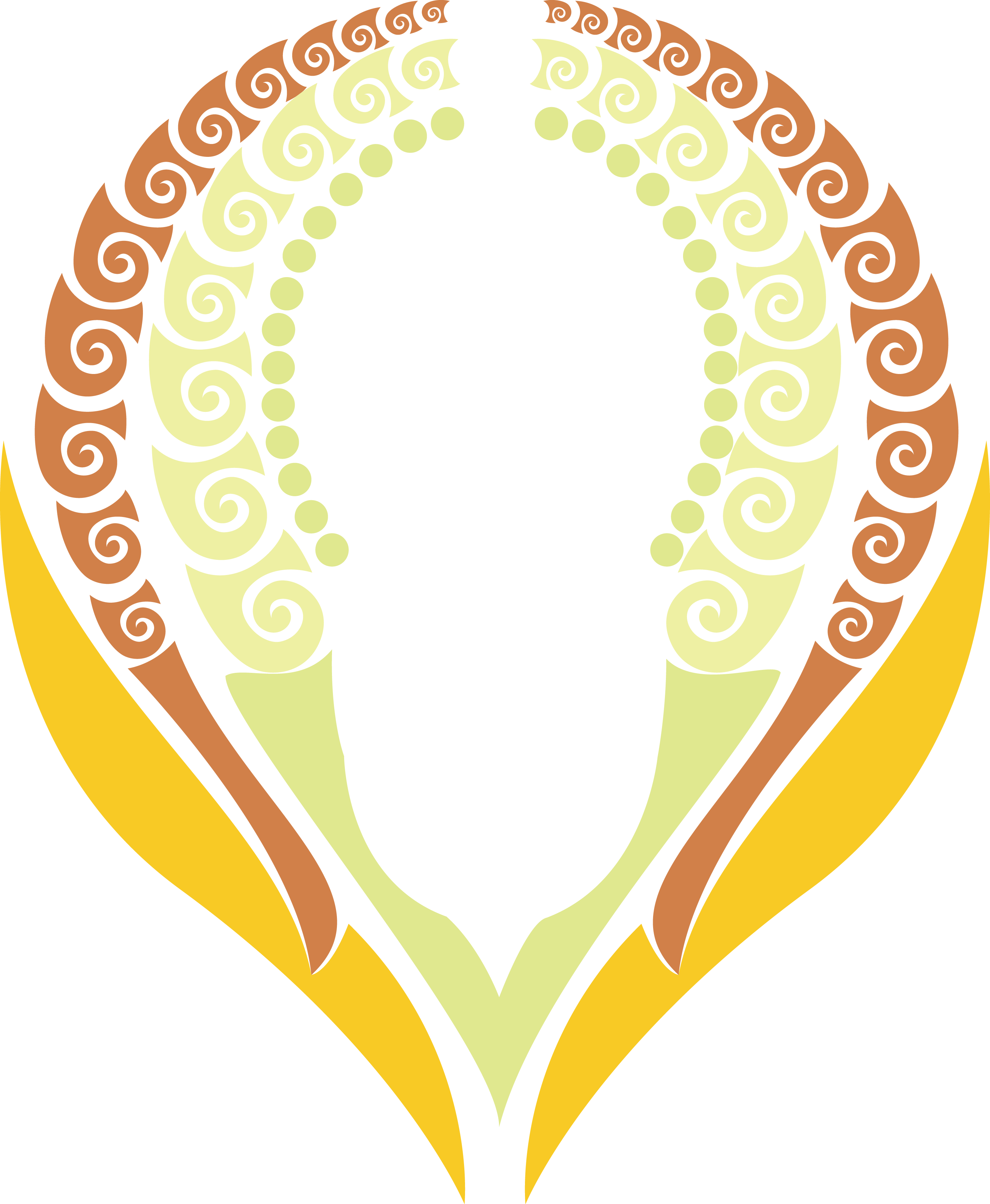 Distearoyl Phosphatidylcholine (3006x3654)