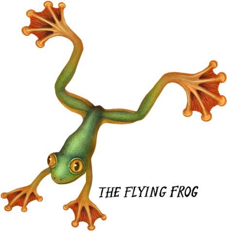 <3 Frog <3 - Art (542x736)