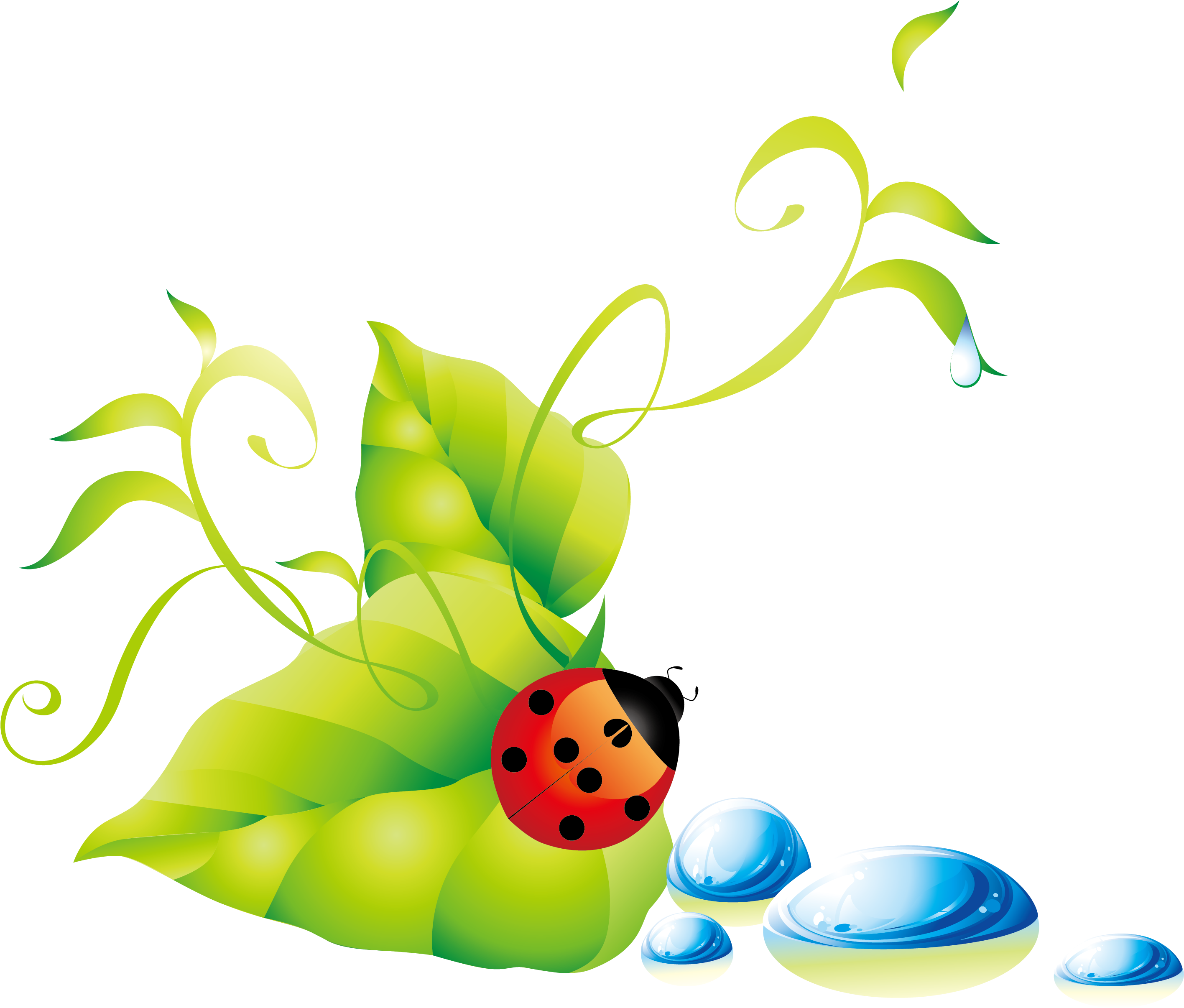Green Leaf Ladybug Water Droplets Background Vector - Vector (3125x3125)