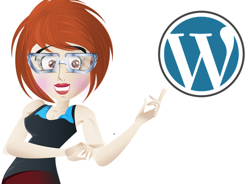 Wordpress: Fundamental Basics For Absolute Beginners (799x600)