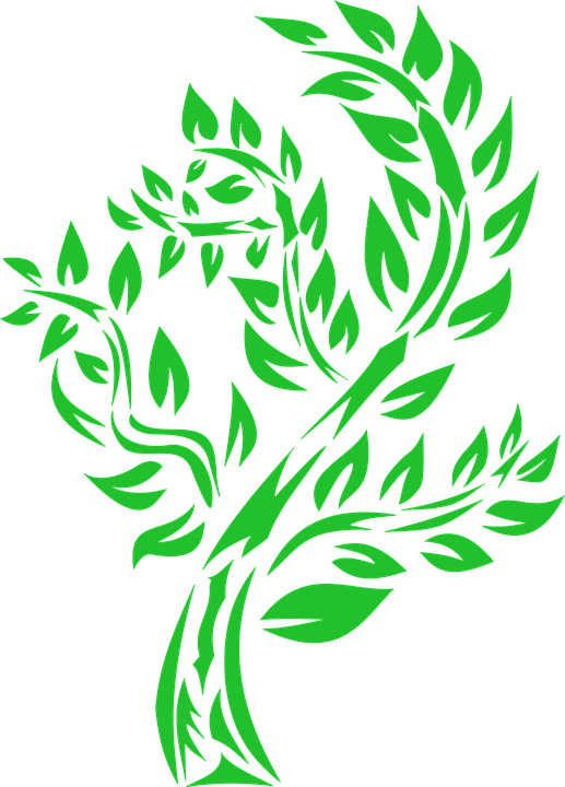 Vector, Tree, Foliage, Green, Nature, Graphics - Dedaunan Vector (517x720)