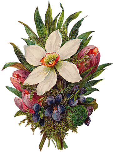 Леди Дождя «005 » На Яндекс - Bouquet (366x500)