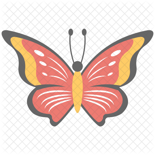 Butterfly Icon - Butterfly (512x512)