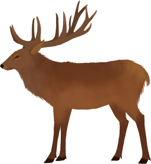 Virgil Vector - - Elk (490x533)