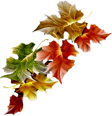 Herfst - Best Eid Mubarak Gif (376x390)