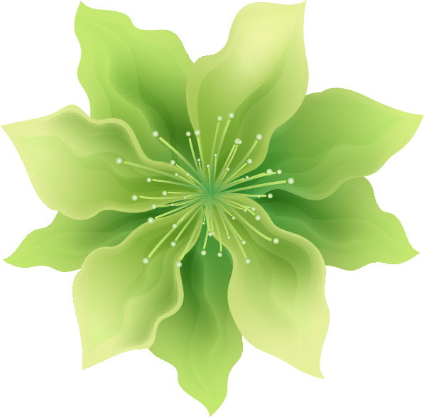 Png形式でダウンロード - Clematis (597x587)