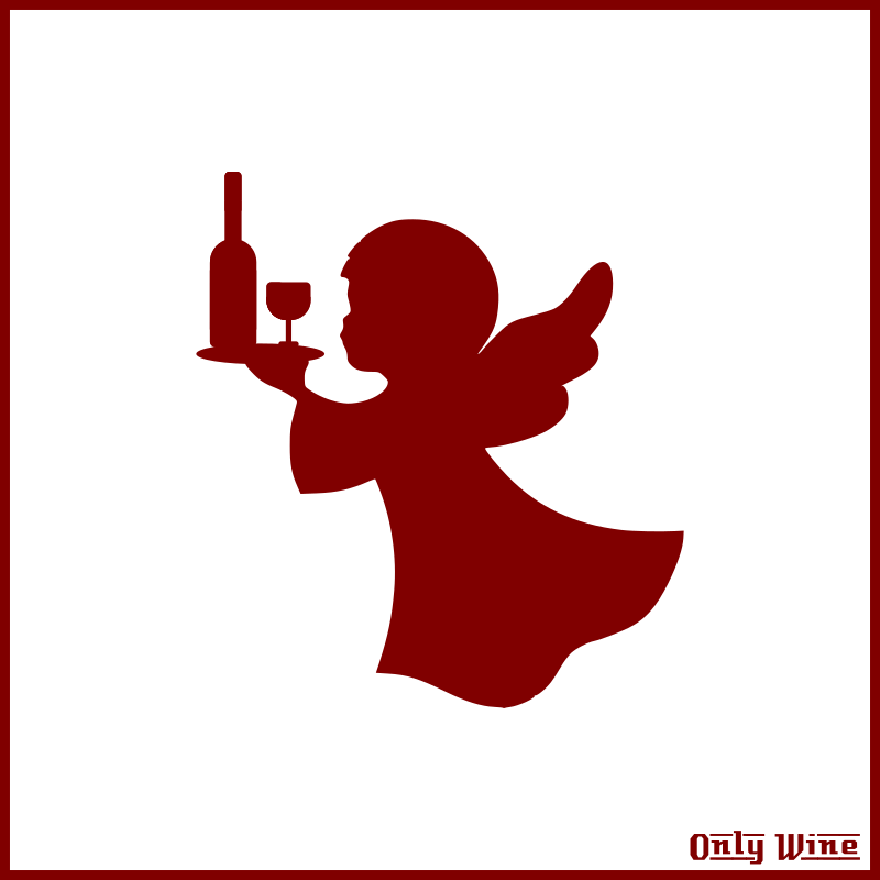 By Only Wine - Wine (800x800)