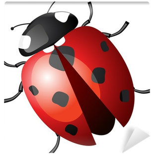 Ladybug Or Ladybird - Ladybird (400x400)