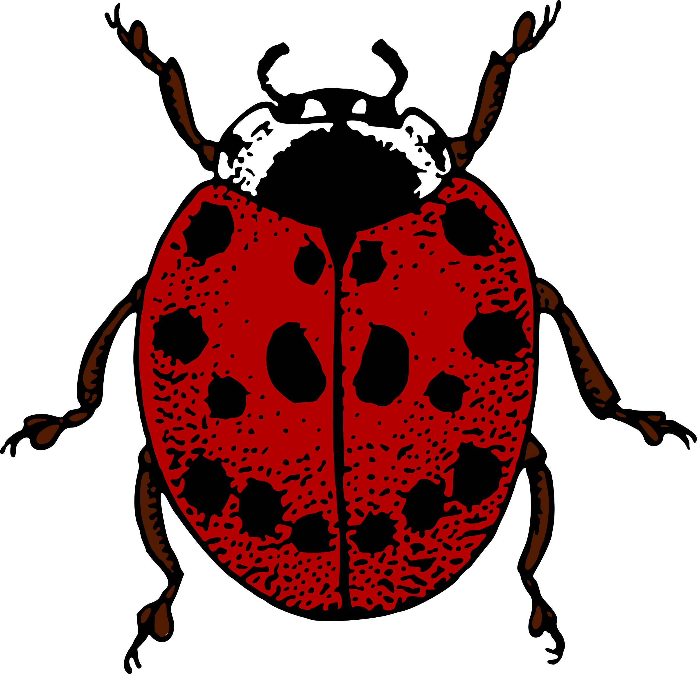 Big Image - Clip Art (2400x2321)
