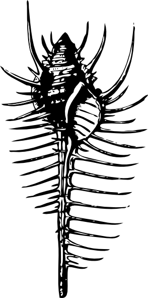 Clip Art (500x1000)