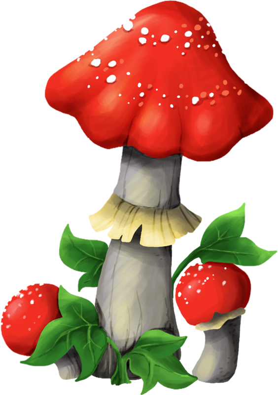 Яндекс - Фотки - Clip Art (564x800)