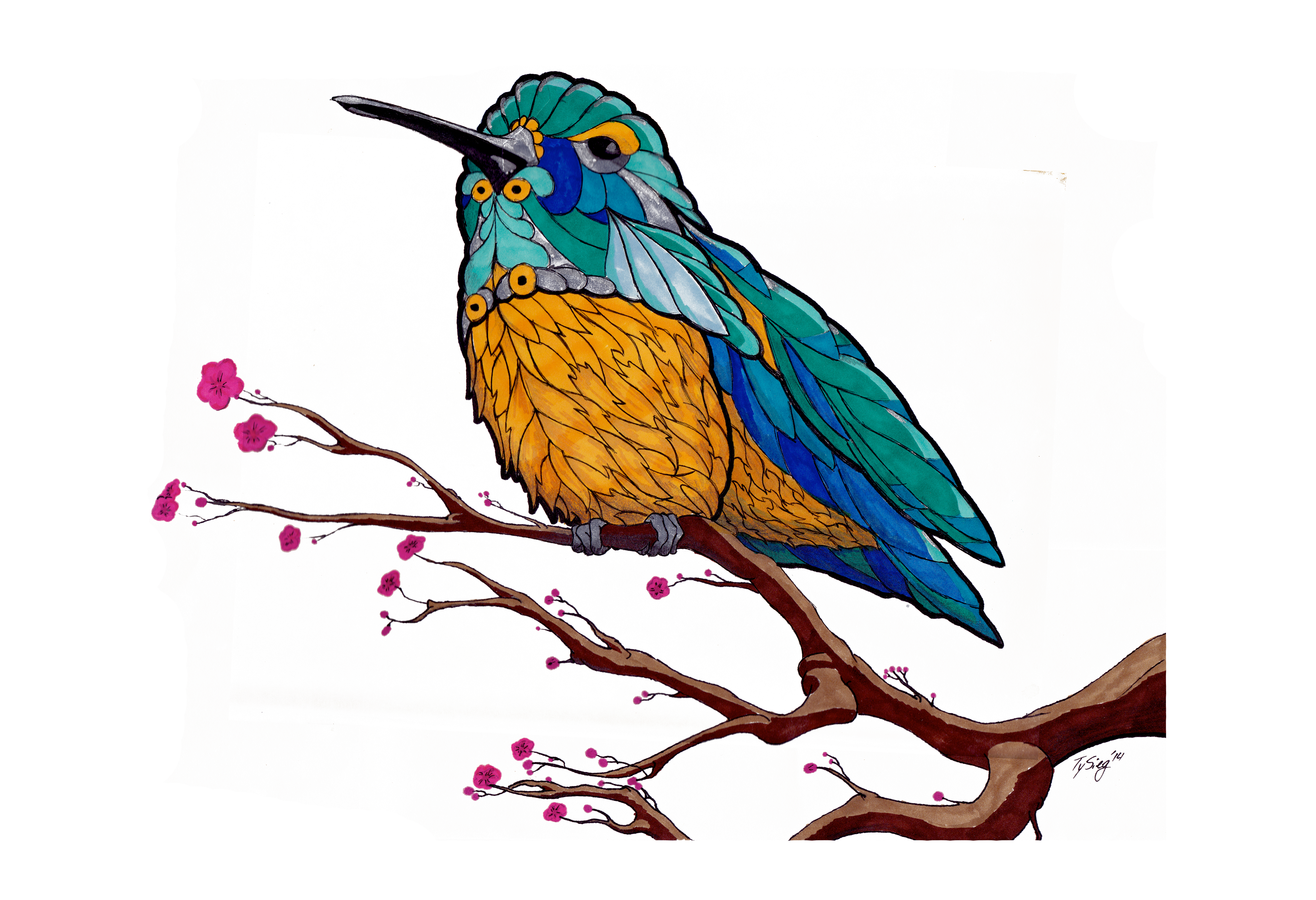 Commissioned Client Work For Hand Rendered Bird Illustrations - Coraciiformes (3840x2627)