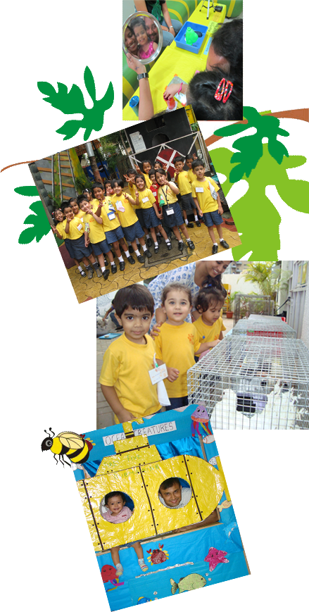 Welcome To First Five Pre School, First Five, Baner, - First Five (439x869)