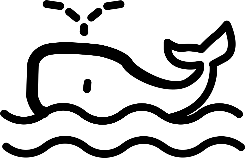 Whale Watching Comments - Whale Watching Comments (981x634)
