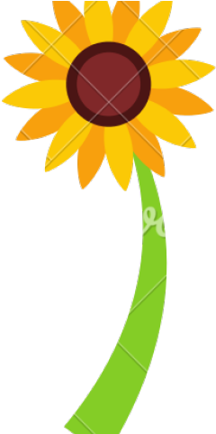 Sunflower Graphics - Textmate (640x480)