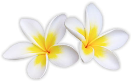Hawaii Calendars - Aloha Spa (450x282)