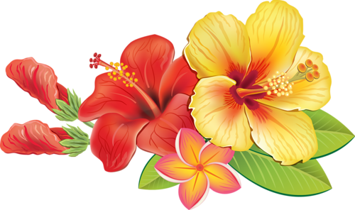 0 A04cb 8beba5ab Orig - Tropical Vector Flowers (500x296)