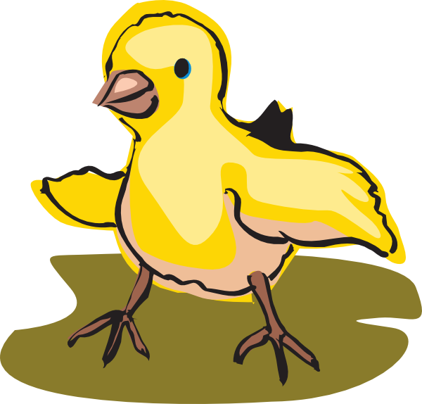 Duck (1280x1224)