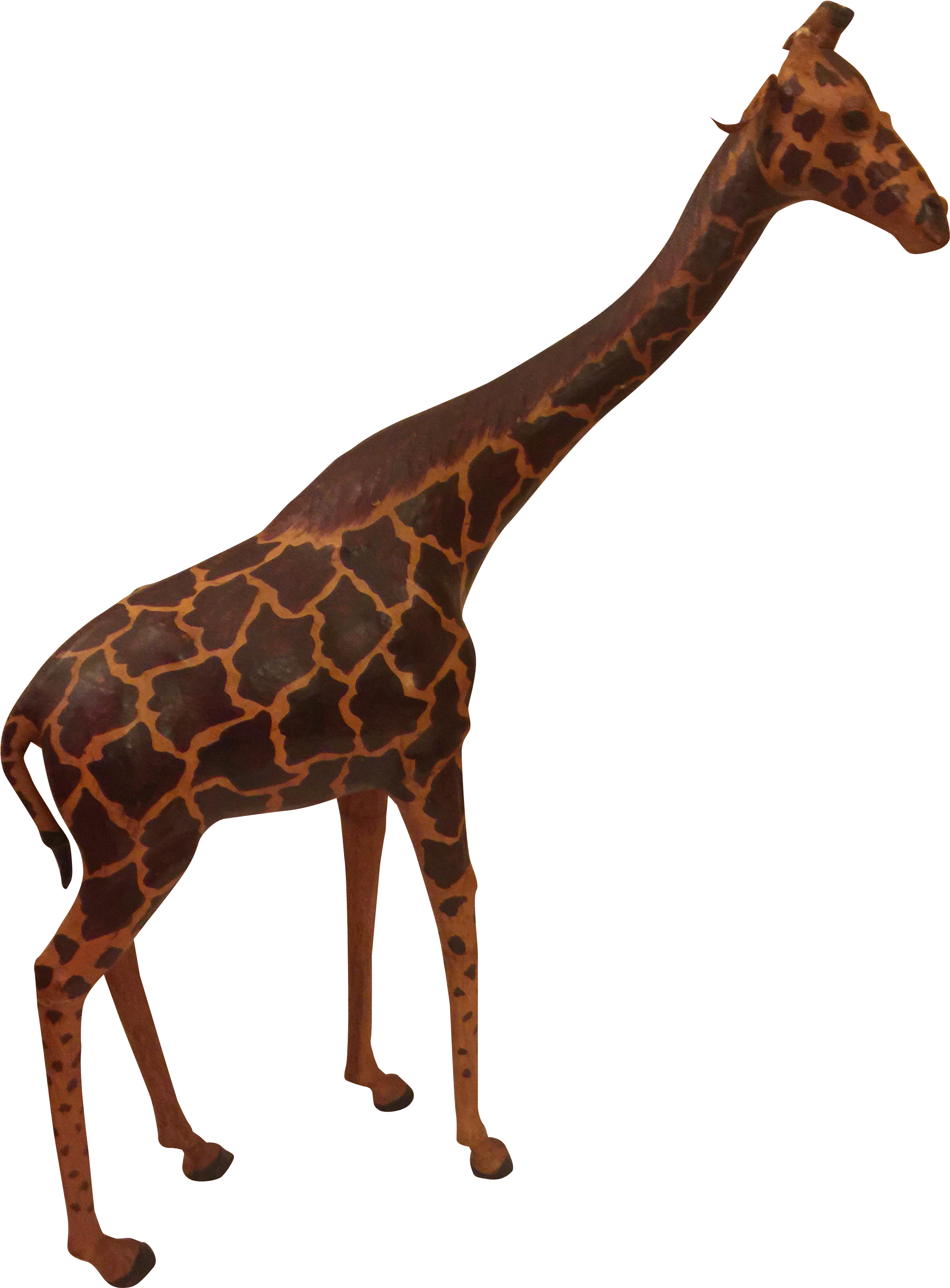 Giraffe (2358x3198)
