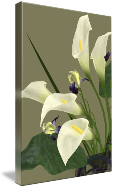 Arum (392x650)
