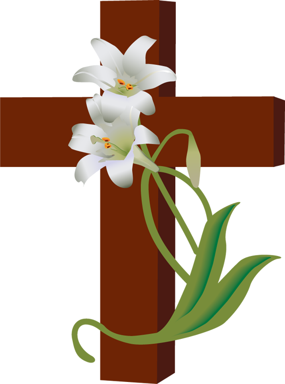 Easter Lily Clipart Easter - Clip Art (556x750)