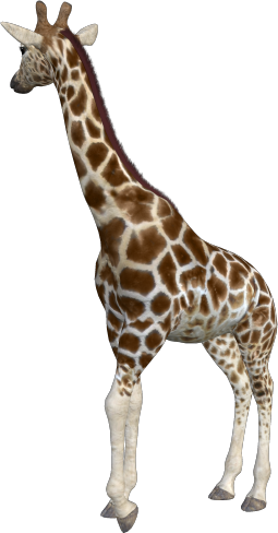 Back To Animal Index - Giraffe (255x488)