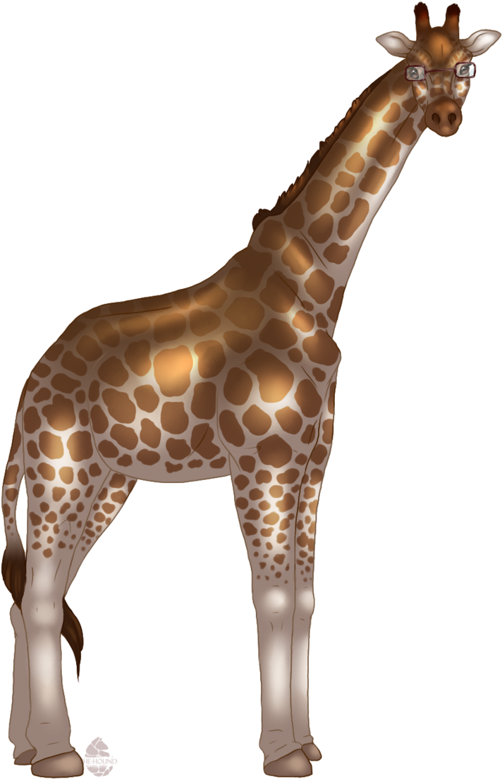 Full Body Shaded , - Giraffe (719x1110)