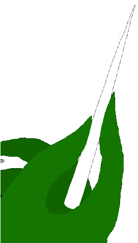 White Wand Edit - White Wand Edit (344x500)