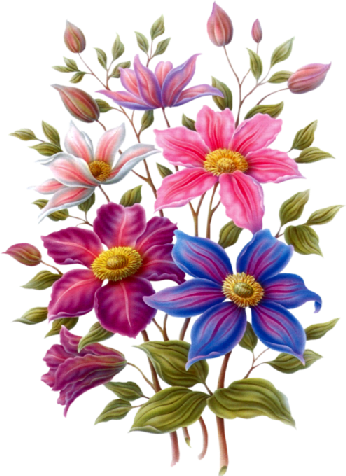 Flower 22 - Clematis (346x476)
