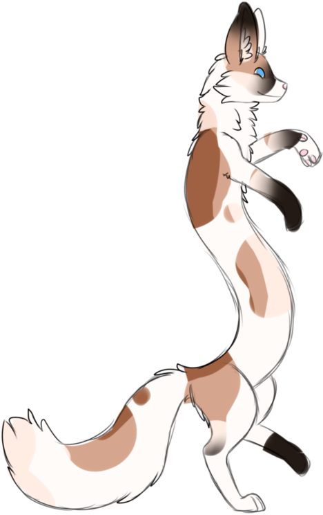 Kuro's Noodle Fox By - Cartoon (894x894)