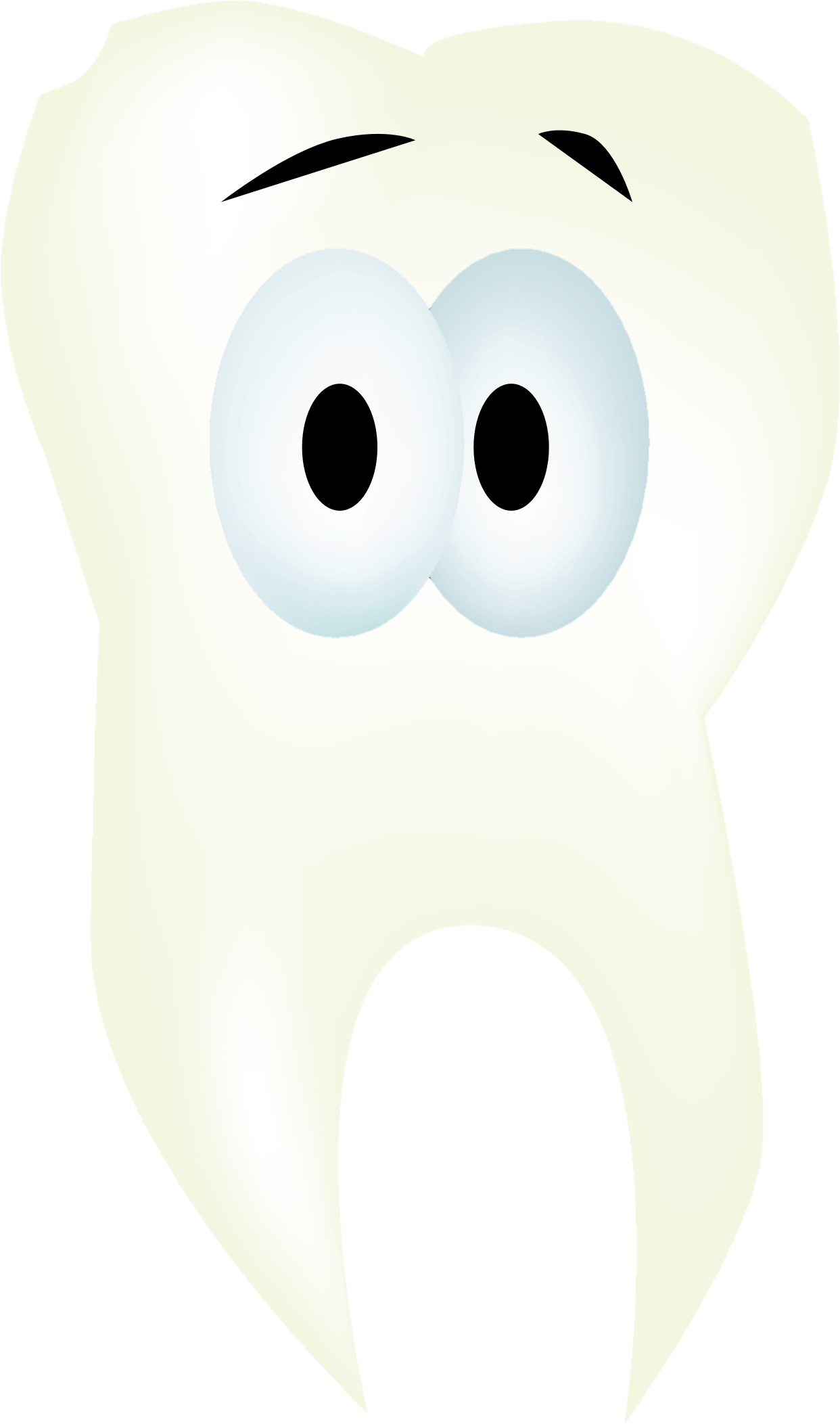 Tooth - Teddy Bear (1242x2105)