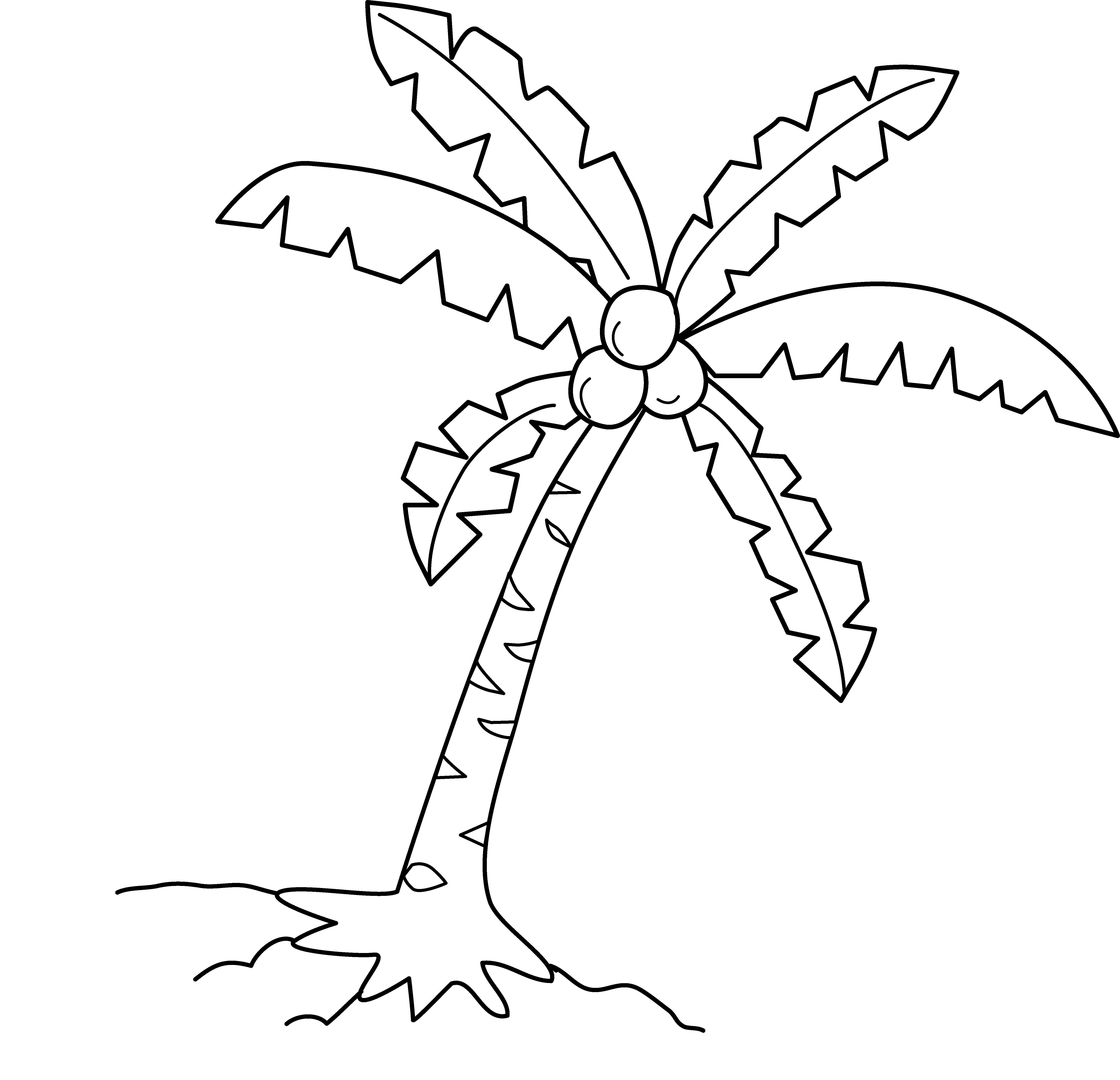 Cartoon Coconut Trees - Coconut Tree Vector White (5528x5332)