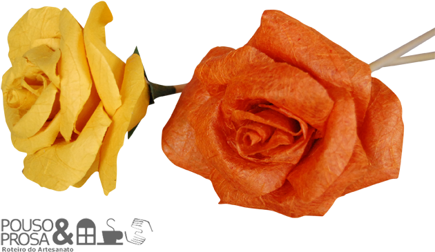 Garden Roses (668x480)
