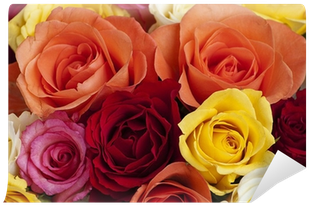 Garden Roses (400x400)