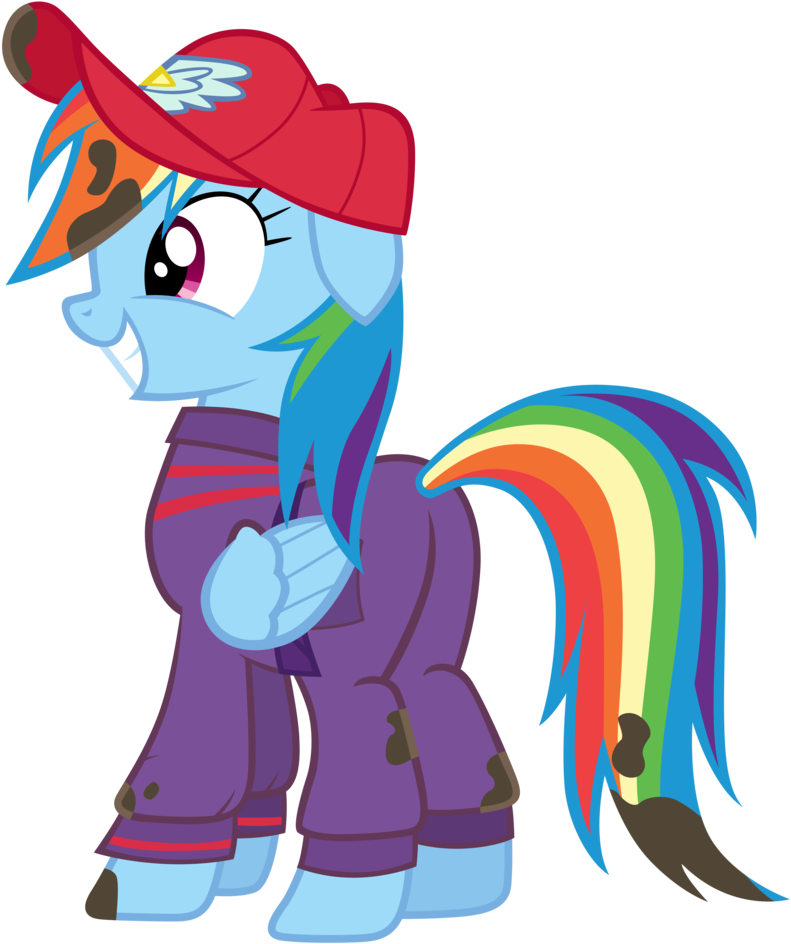 Rainbow Dash In Work Suit By Tardifice - Rainbow Dash Work (810x985)