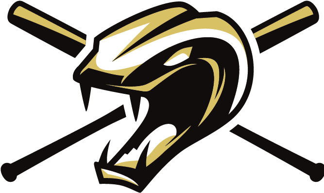 Copperheads Baseball (675x595)