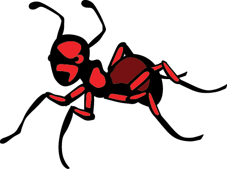 Ants - Pest Control (461x344)