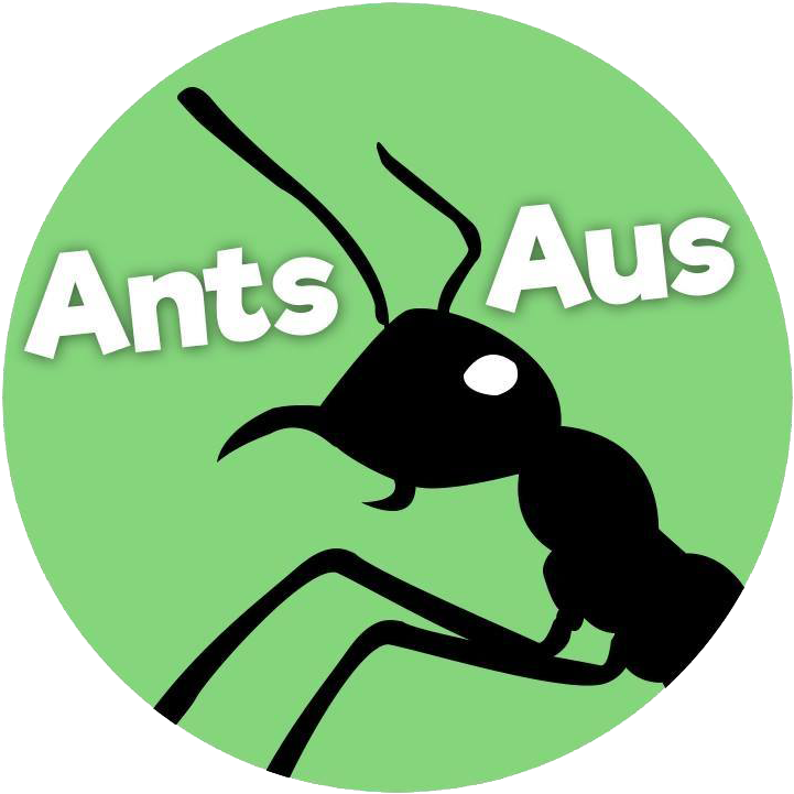 Ants Clip Art (800x800)