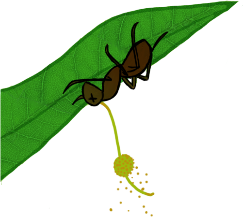 Image - Illustration (500x500)